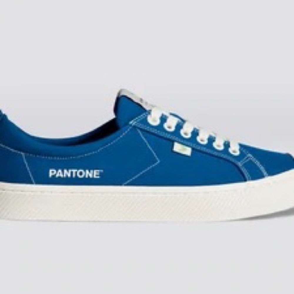 Blue Canvas Sneakers - Picture 5 of 10